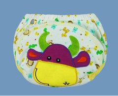 Baby Waterproof Reusable Cotton Diapers